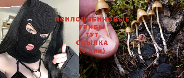 2c-b Вязьма